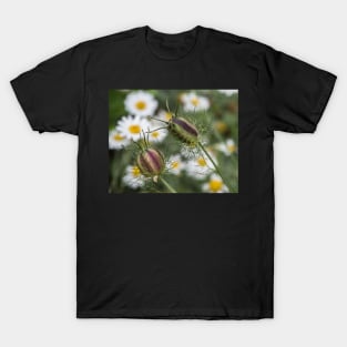 Nigella & Aster T-Shirt